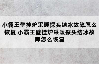 小霸王壁挂炉采暖探头结冰故障怎么恢复 小霸王壁挂炉采暖探头结冰故障怎么恢复